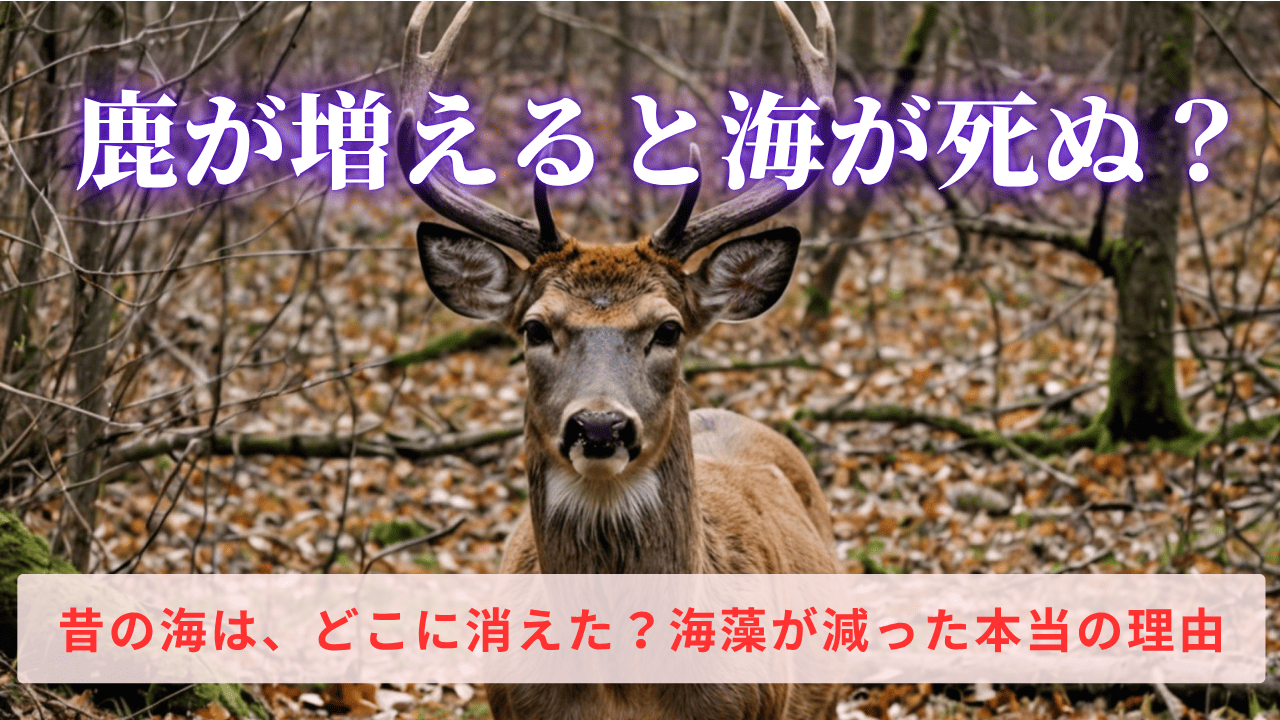 シカによる森林被害