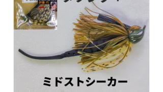 IMG 20250603 160452 1 1