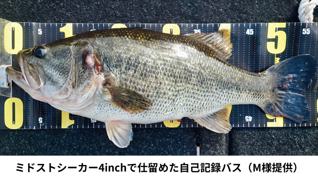 【芦ノ湖】ミドストシーカーで自己記録更新!3300gの56cmモンスター現る! 26 ミドストシーカー4inchで仕留めた自己記録バス(M様提供)