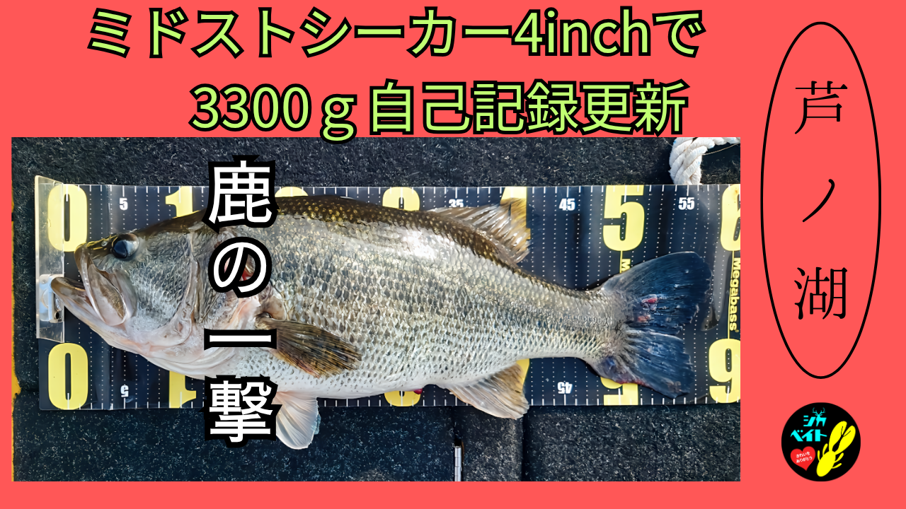【芦ノ湖バス釣果】ミドストシーカーで自己記録更新！3.3kgのモンスター現る｜M様の実釣レポート