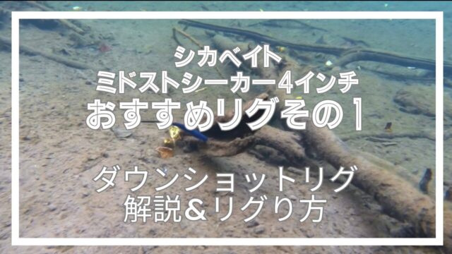 a6407984a64b8a9e918cc964c68ef281