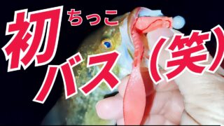 0551395ea21fed604dfb8264f6f836e8