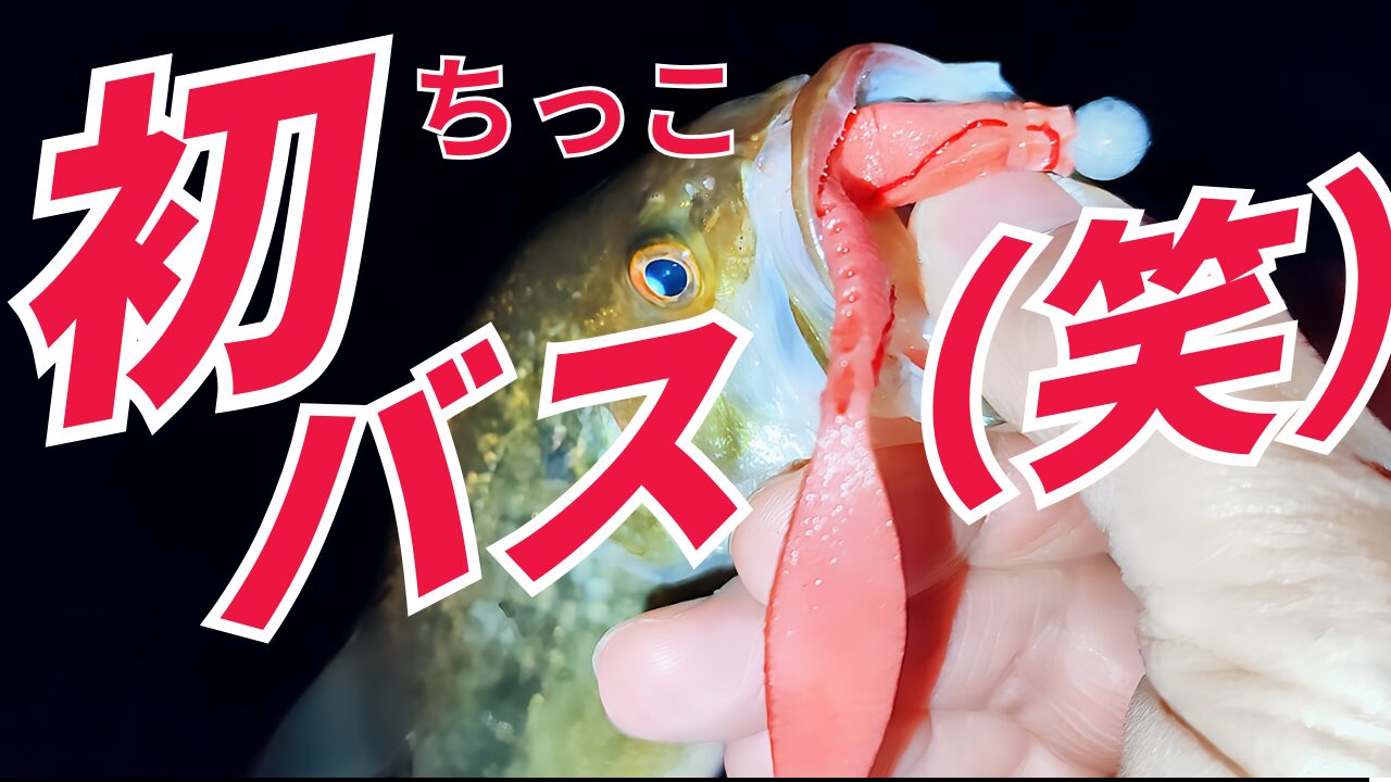 芦ノ湖ブラックバス