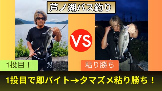 a59161f79b83ae3c5b86d84a2e5d0d39