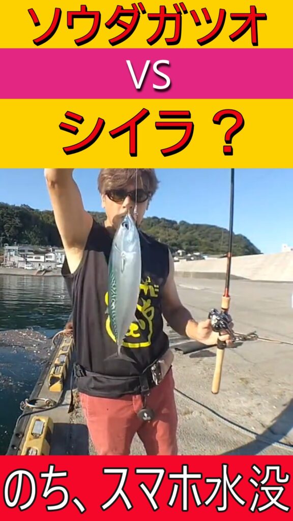 【神回】浅場にソウダガツオが大量侵入!シイラとの引っ張り合いとスマホ水没の全貌(笑) 17 浅い湾内でソウダガツオに噛みつくシイラと、ドタバタの撮影現場風景