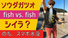 72b5f3cacbe2cecb6ae0b434ae55ef46